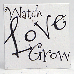 square seed paper tags