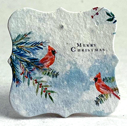 square seed paper tags