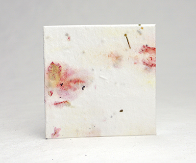 square seed paper tags