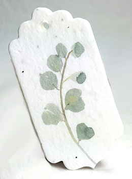 Eucalyptus tag