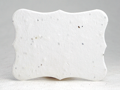 blank scalloped escort card