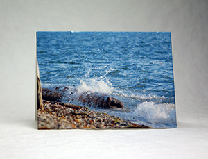 beach, log, puget sound