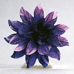 printed seed paper flower  shapes