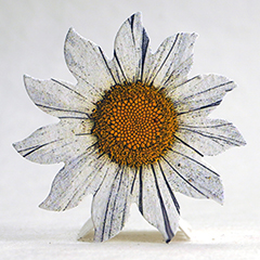 printed seed paper flower  shapes